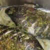 Frozen Tilapia Fish - Image 2