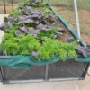 Wicking bed - Image 2